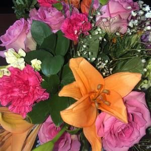 Meet your Posher, Liza